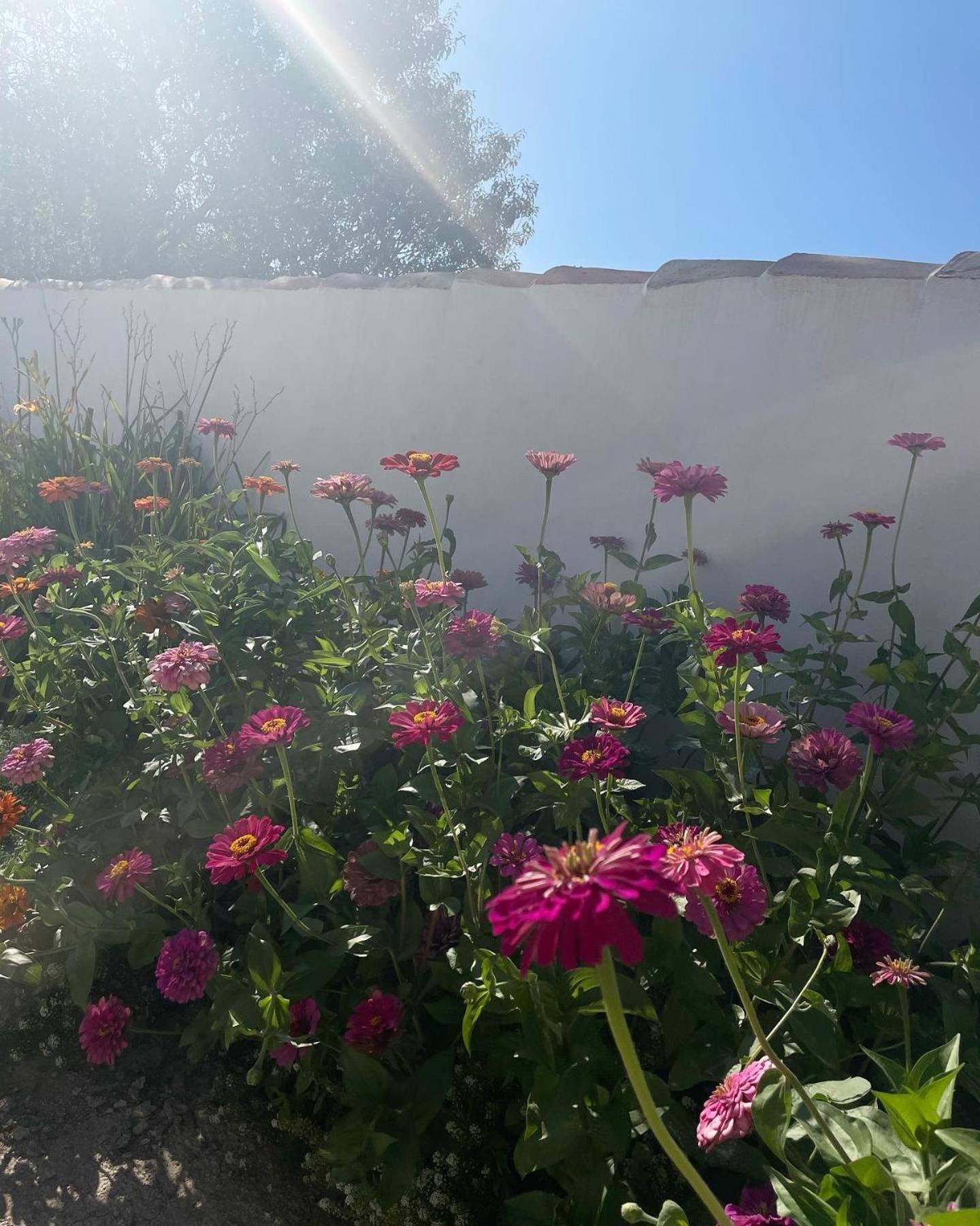 Вилла Cortijo El Prado L Кастриль Экстерьер фото